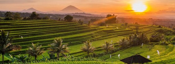 677fc1ca529803f77a048777_UBUD (1)